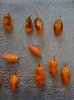 bhut3.jpg