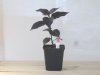 2010-04-22 16-44-40 0057.JPG