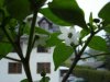 DSC02707.JPG