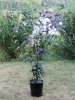2010-07-24 17-53-40 0118.JPG