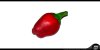 2010-09-17 - Habanero - Small.jpg