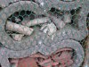 Insektenhotel Ökostation Bergkamen 016.jpg