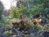 ÜW 1 ein erster Frost - aber nicht im Garten 007.jpg