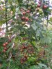 k-100_4115.JPG