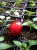 Ostern2012.jpg