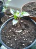 2012-04-15 14.29.35.jpg