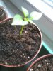 2012-04-15 14.29.43.jpg