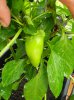 DSCN8512.JPG