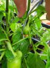 DSCN8513.JPG