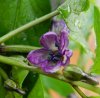 DSCN8518.JPG