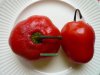 Rocoto Oxapampa_Bildgröße ändern.JPG