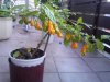 K640_IMG_20110928_185459.JPG