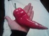 K640_IMG_20111118_180638.JPG