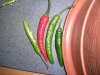 marokkochilis.jpg