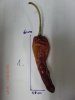 k-CIMG2690.JPG