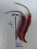 k-CIMG2693.JPG