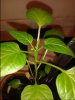 20131107_174424.jpg