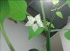 20131124_134924.jpg