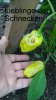 DSC02945.JPG