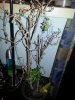 20150215_182513.jpg