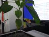 DSC03448.JPG