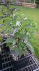DSC_0120.JPG DSC_0120.JPG