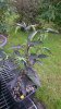 DSC_0121.JPG DSC_0121.JPG
