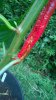 WP_20150712_13_59_07_Pro.jpg WP_20150712_13_59_07_Pro.jpg