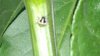 IMG_20150801_184046_577.jpg