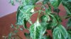 20150824_194357.jpg 20150824_194357.jpg