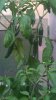 WP_20150815_20_01_15_Pro.jpg