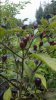 DSC_0185.JPG DSC_0185.JPG