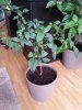 20150919_141505.jpg