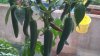 WP_20150923_10_03_19_Pro.jpg