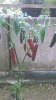 WP_20151004_11_05_42_Pro.jpg