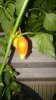 DSC_0165.JPG
