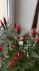 20160107_100908.jpg