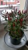 20160107_100816.jpg