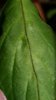 20160116_172606.jpg
