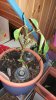20160116_172625.jpg