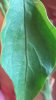 20160116_151238.jpg
