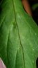 20160116_172558.jpg