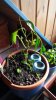 20160112_120726.jpg