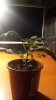 20160303_215706.jpg