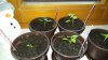 20160318_063739.jpg 20160318_063739.jpg