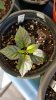 20160320_160639.jpg