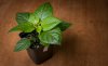 _DSC8859.jpg