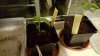 20160415_205819_resized.jpg