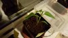 20160415_205825_resized.jpg