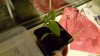 20160415_205844_resized.jpg